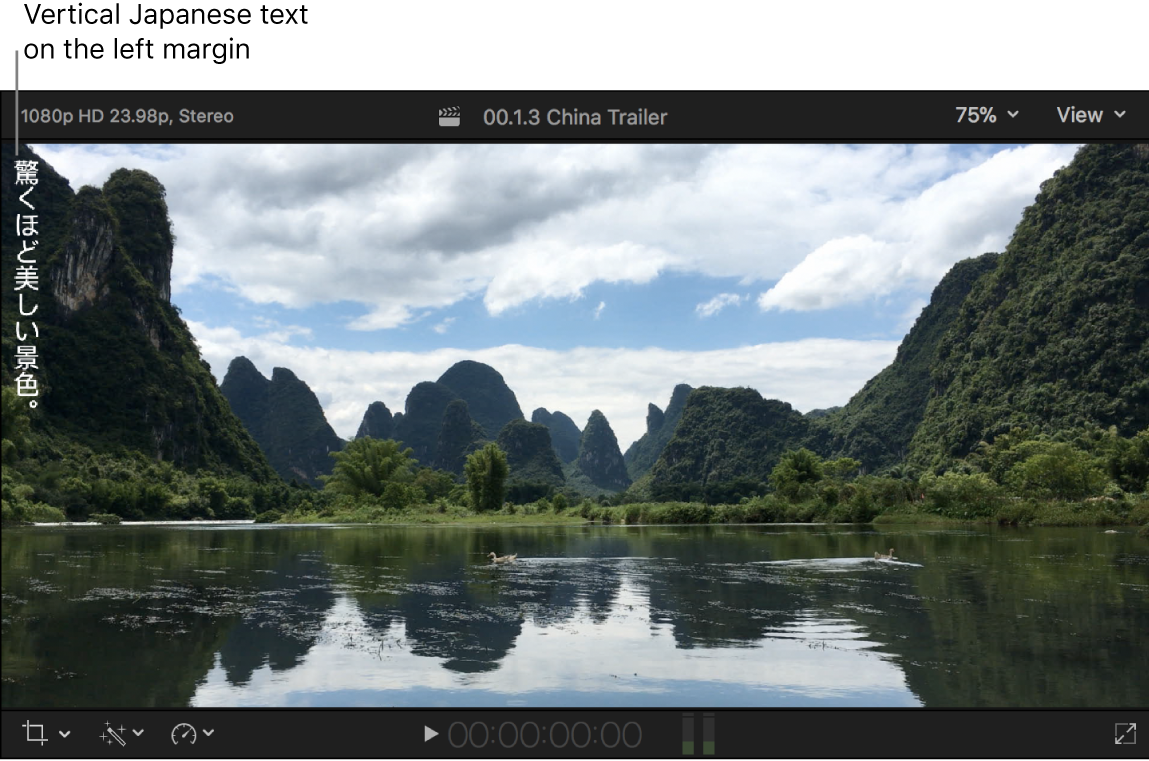 Visualiseur affichant du texte de sous-titre vertical en japonais
