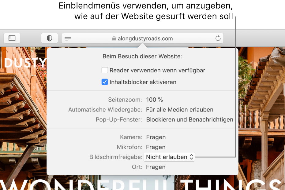 Das Dialogfenster, das unter dem intelligenten Suchfeld angezeigt wird, wenn du „Safari“ > „Einstellungen für diese Website“ auswählst. Das Dialogfenster enthält die Optionen „Reader verwenden“, „Inhaltsblocker aktivieren“ und andere Optionen, mit denen du das Verhalten der aktuellen Website anpassen kannst.