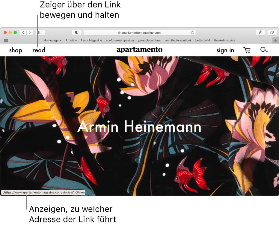Der Zeiger über einem Link auf einer Webseite; die zugehörige URL wird unten in der Statusleiste des Fensters angezeigt.
