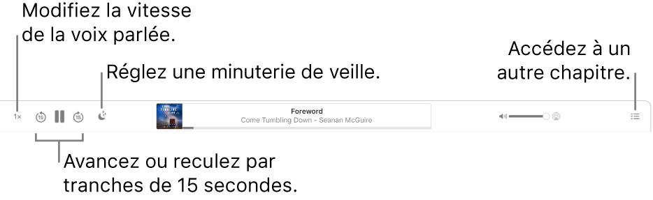 Le lecteur de livre audio dans Apple Books qui affiche, de gauche à droite, le bouton Vitesse de lecture, les boutons Saut vers l’avant et Saut vers l’arrière, le bouton Minuterie de veille, le titre et l’auteur du livre audio en cours de lecture, le curseur de volume et le bouton Table des matières.
