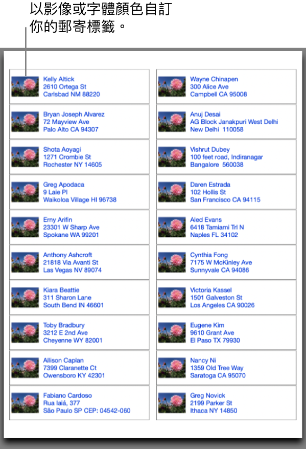 郵寄標籤的預覽,自訂影像和字體顏色,已經可以列印。