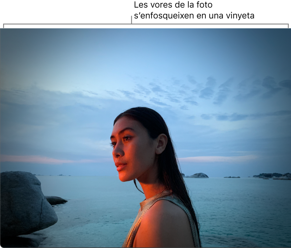 Una foto amb una vinyeta aplicada, que mostra les vores fosques.