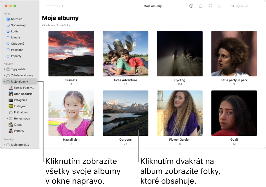 Okno aplikácie Fotky, kde je priečinok Moje albumy označený v postrannom paneli a albumy, ktoré ste vytvorili, sú zobrazené v okne na pravej strane.