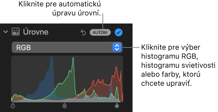 Ovládacie prvky Úrovne na paneli Úpravy s tlačidlom Auto vpravo hore a histogramom RGB nižšie.