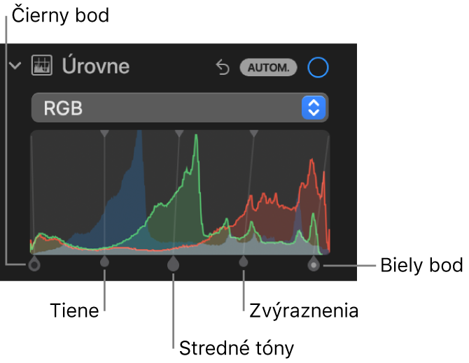 Ovládacie prvky Úrovne na paneli Úpravy zobrazujúce histogram RGB s úchytmi nižšie, vrátane (zľava doprava) čierneho bodu, tieňov, stredných tónov, zvýraznení a bieleho bodu.
