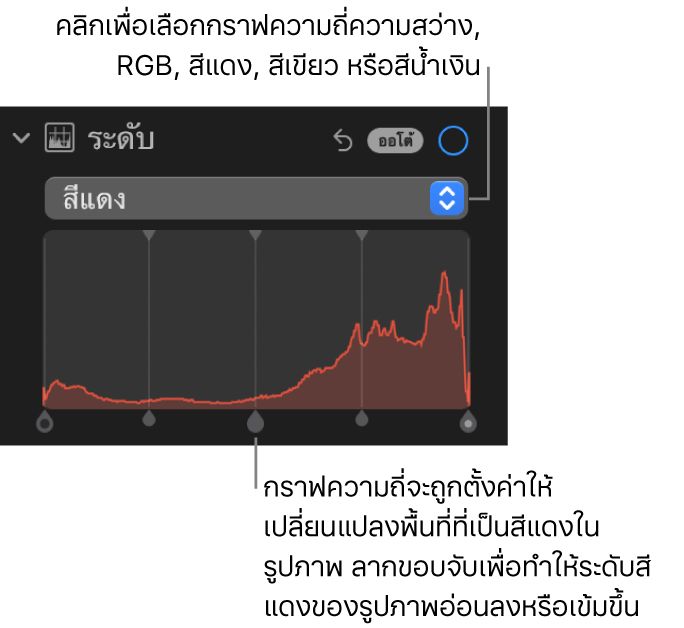 ตัวควบคุมระดับในบานหน้าต่างการปรับที่แสดงฮิสโตแกรมสีแดงพร้อมขอบจับด้านล่าง สำหรับปรับระดับสีแดงของรูปภาพ