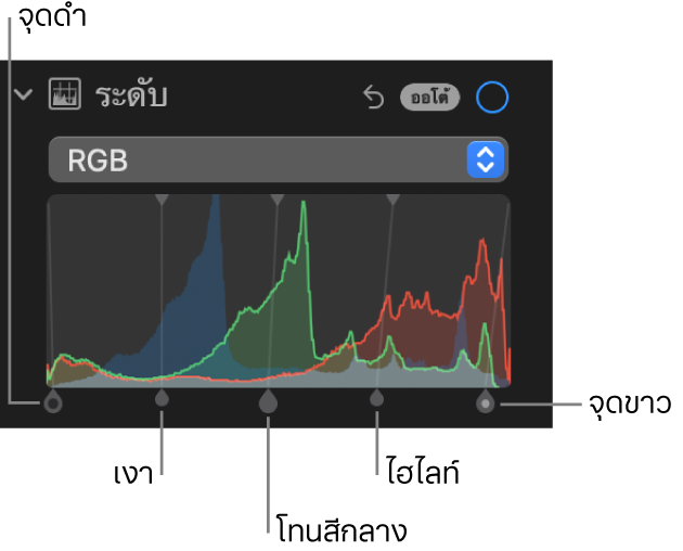 ตัวควบคุมระดับในบานหน้าต่างการปรับที่แสดงฮิสโตแกรม RGB พร้อมขอบจับด้านล่าง ซึ่งประกอบด้วย (จากซ้ายไปขวา) จุดดำ เงา โทนสีกลาง ไฮไลท์ และจุดขาว