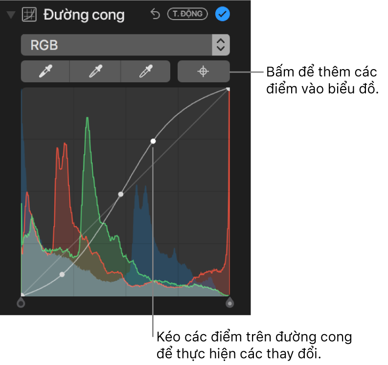 Các điều khiển Đường cong trong khung Điều chỉnh, đang hiển thị nút Thêm điểm ở phía trên bên phải và biểu đồ RGB bên dưới.