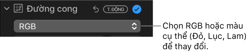 Các điều khiển Đường cong trong khung Điều chỉnh, đang hiển thị RGB được chọn trong menu bật lên.