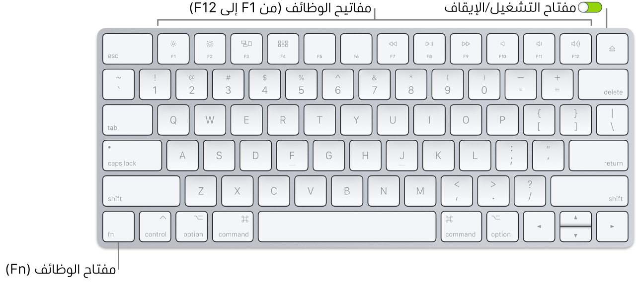لوحة مفاتيح Magic Keyboard يظهر بها مفتاح الوظائف (Fn) في الزاوية السفلية اليسرى ومفتاح التشغيل/إيقاف التشغيل في الزاوية العلوية اليمنى من لوحة المفاتيح.