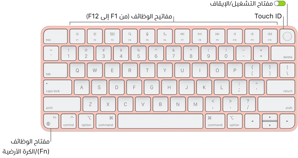 لوحة مفاتيح Magic Keyboard المزودة بـ Touch ID يظهر بها صف مفاتيح الوظائف و Touch ID على امتداد الجزء العلوي، ومفتاح الوظائف (Fn)/الكرة الأرضية في الزاوية السفلية اليسرى منها.
