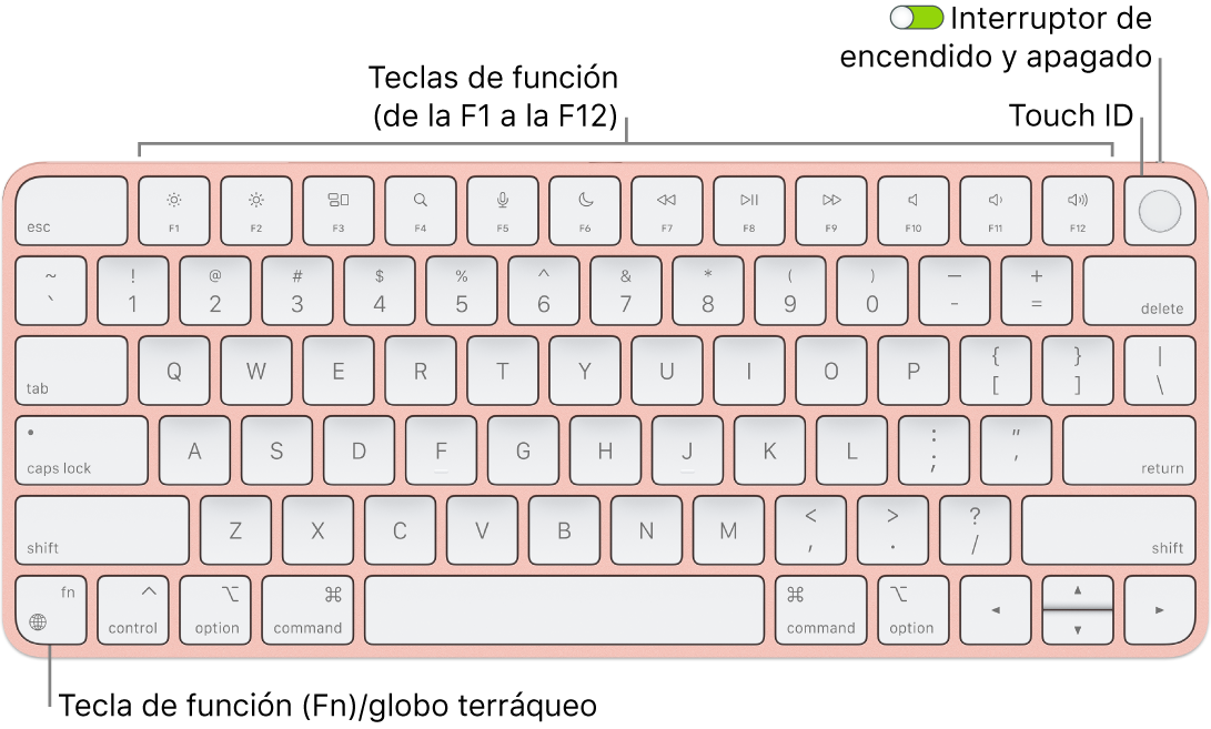 Magic Keyboard con Touch ID, con la fila de teclas de función y Touch ID en la parte superior, y la tecla del globo terráqueo o función (Fn) en la esquina inferior izquierda.