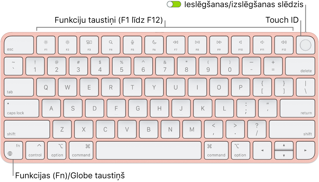 Tastatūrā Magic Keyboard ar Touch ID redzama funkciju taustiņu rinda un Touch ID augšējā malā un taustiņš Function (Fn)/Globe apakšējā kreisajā stūrī.