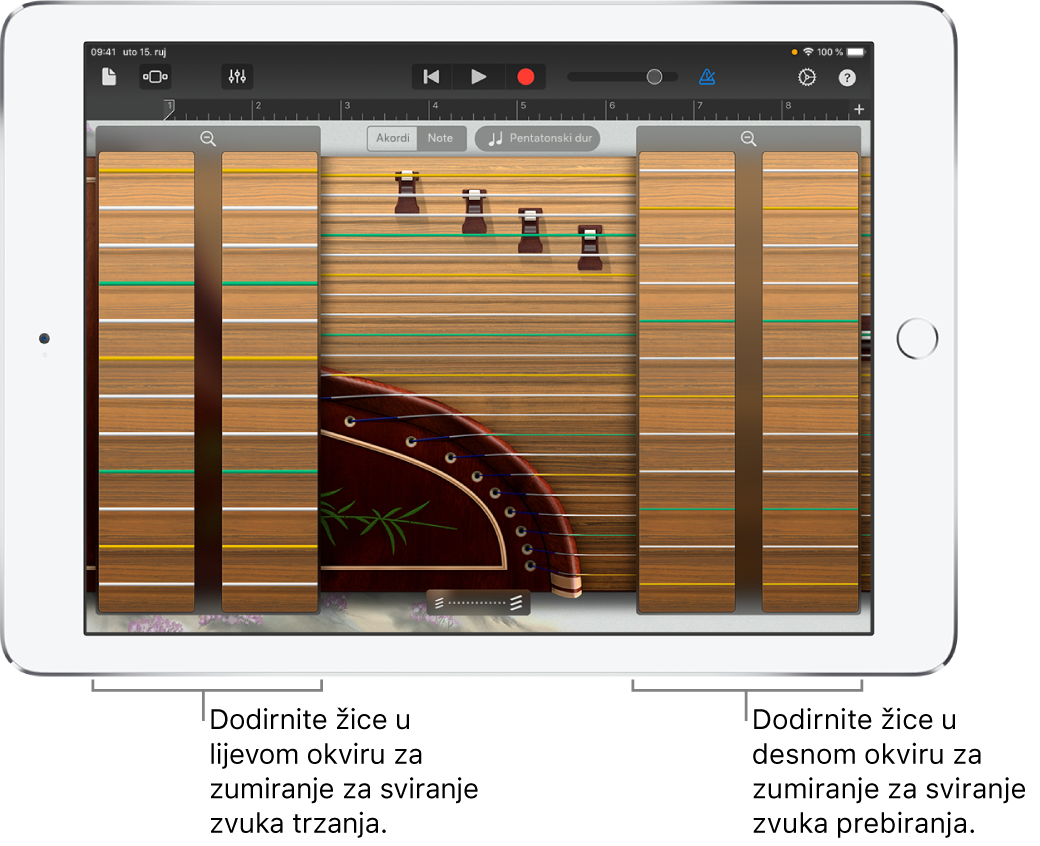 Guzheng okviri zumiranja