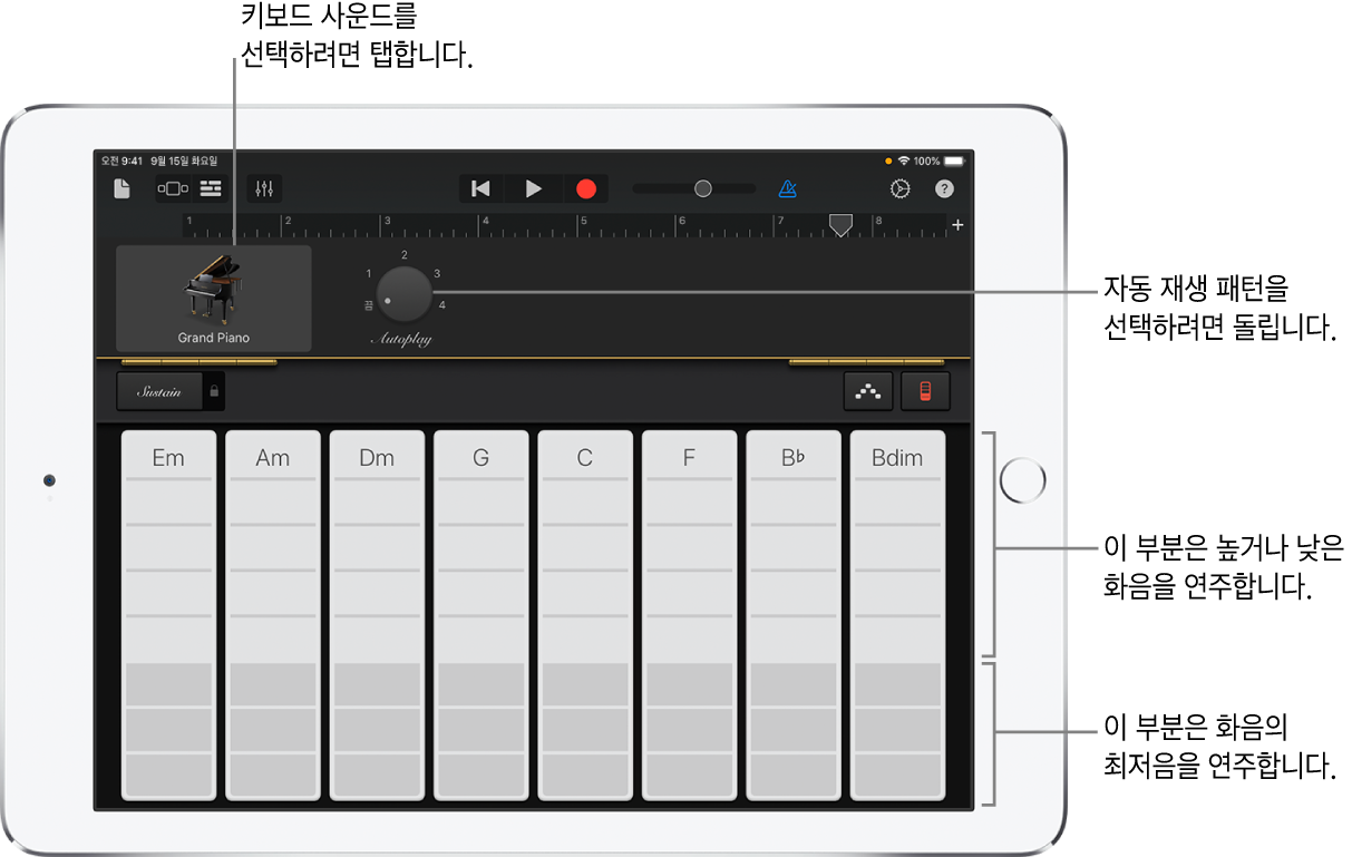 키보드 화음 스트립