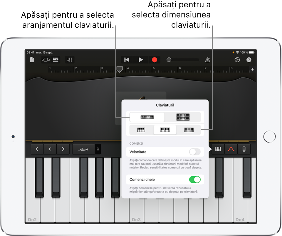 Comenzi pentru aranjamentul și dimensiunea claviaturii