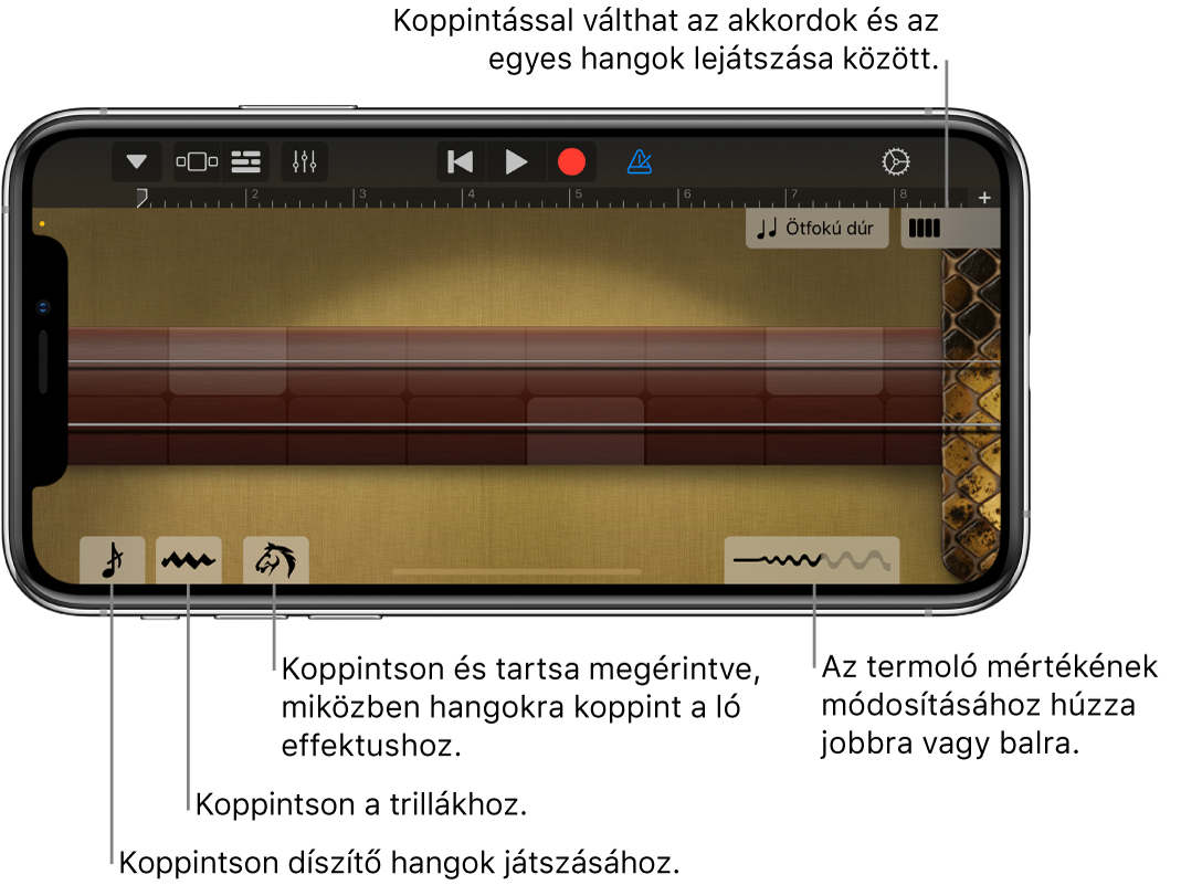 Erhu a Hangjegyek nézetben.