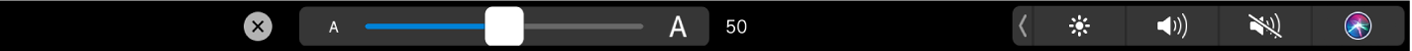 Options de taille de texte dans la Touch Bar