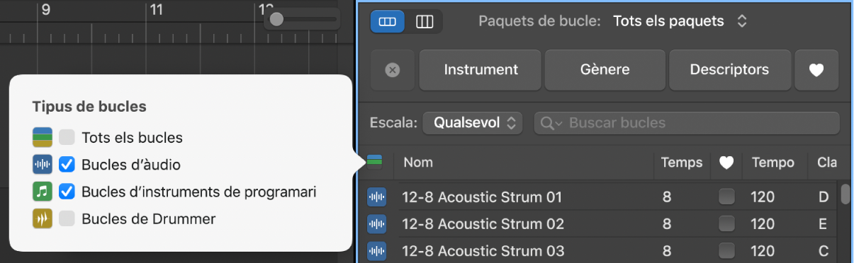 Es fa servir el botó “Tipus de bucles” per filtrar els tipus de bucles.