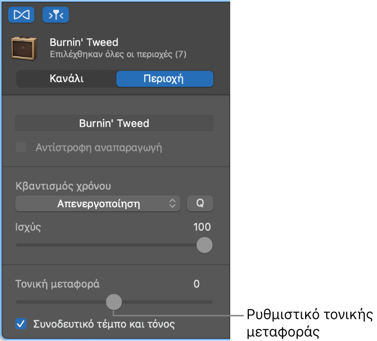 Επιθεωρητής του Προγράμματος επεξεργασίας ήχου στη λειτουργία Περιοχής όπου φαίνεται το ρυθμιστικό Τονικής μεταφοράς.