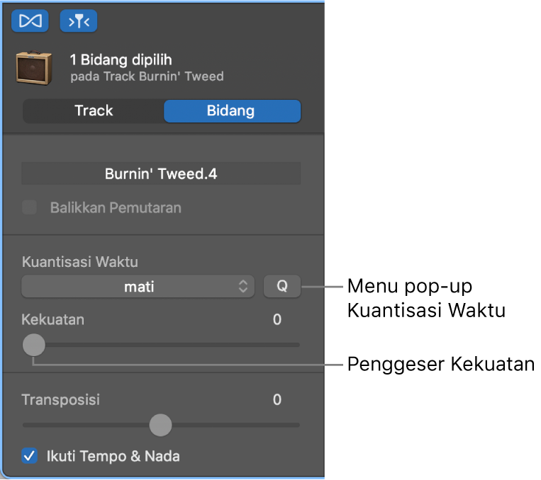 Inspektur Editor Audio, yang menampilkan menu pop-up Kuantisasi Waktu dan penggeser Kekuatan.