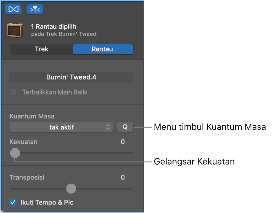 Pemeriksa Editor Audio, menunjukkan menu timbul Kuantum Masa dan gelangsar Kekuatan.