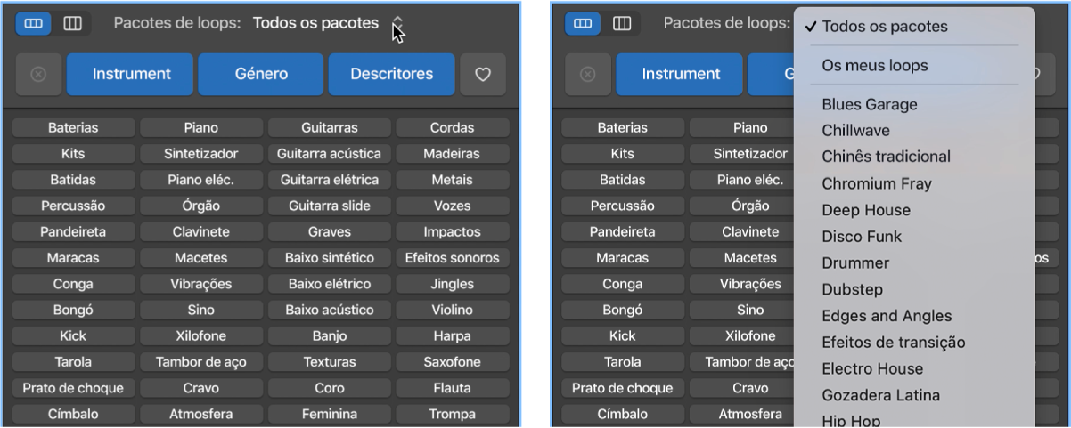 Ilustração da abertura do menu pop-up Loops.