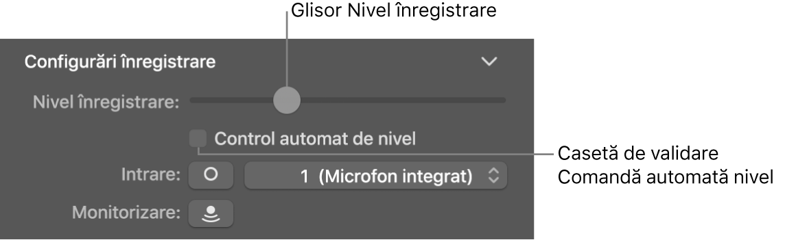 Glisor Nivel înregistrare și casetă de validare Control automat de nivel în inspectorul Smart Controls.