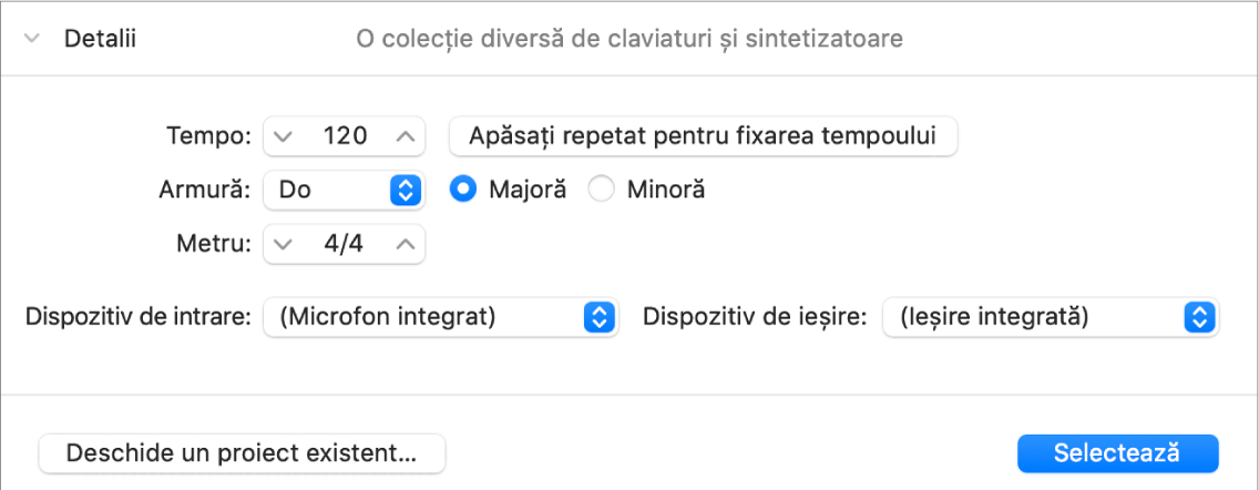 Zona de detalii deschisă din Selectorul de proiecte, afișând parametrii