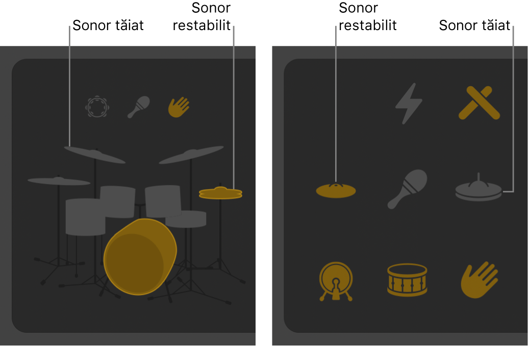 Editorul Drummer afișând setul de tobe cu sonor tăiat sau restabilit.