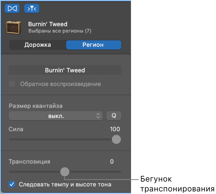 Инспектор редактора аудио в режиме региона — показан бегунок «Транспонировать».