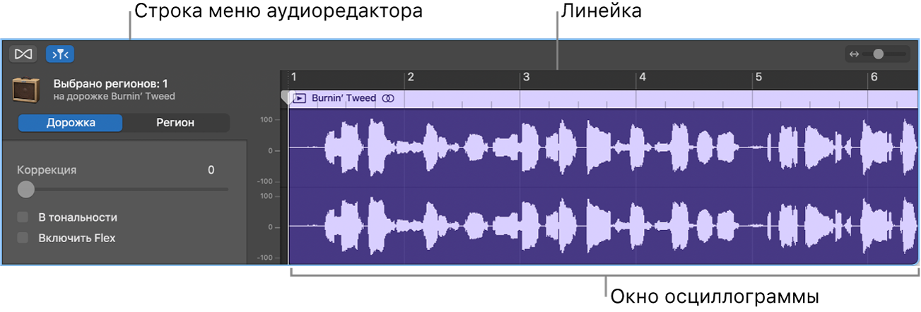 Редактор аудио с выбранным регионом.