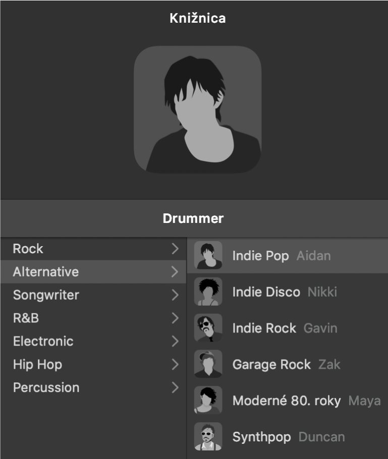 Charakterová karta v Editore Drummera.