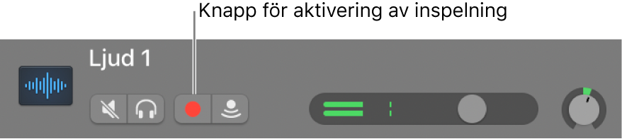 Spårrubrik med knappen för inspelningsaktivering.