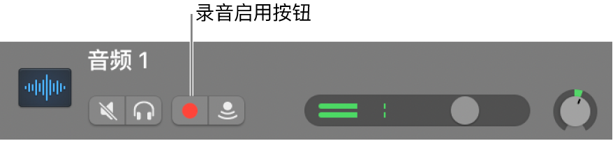 显示“录音启用”按钮的轨道头。