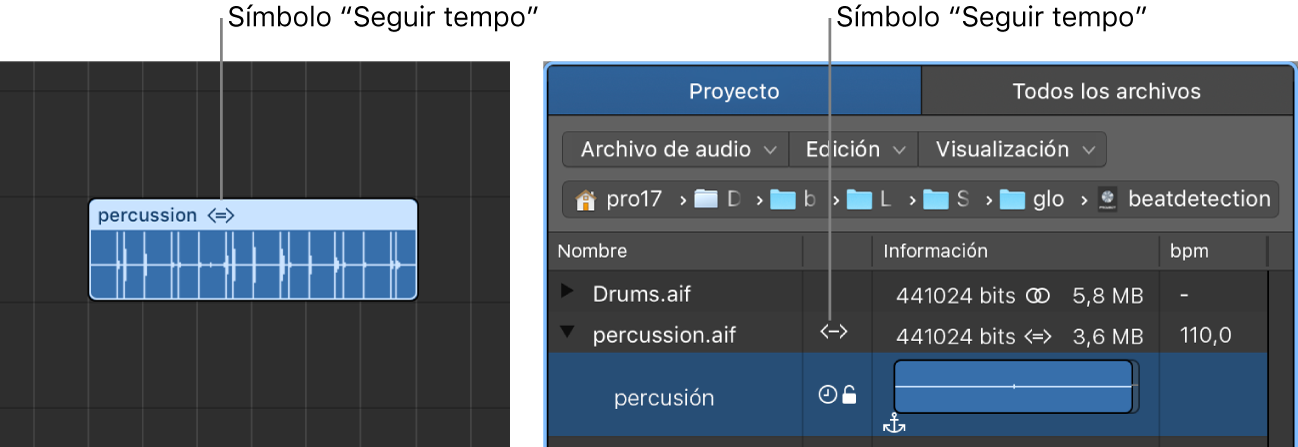 Ilustración. Símbolo “Seguir tempo” en un pasaje de audio, y en el explorador de audio del proyecto.