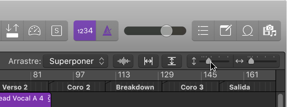 Ilustración. Reguladores de zoom en el área Pistas.