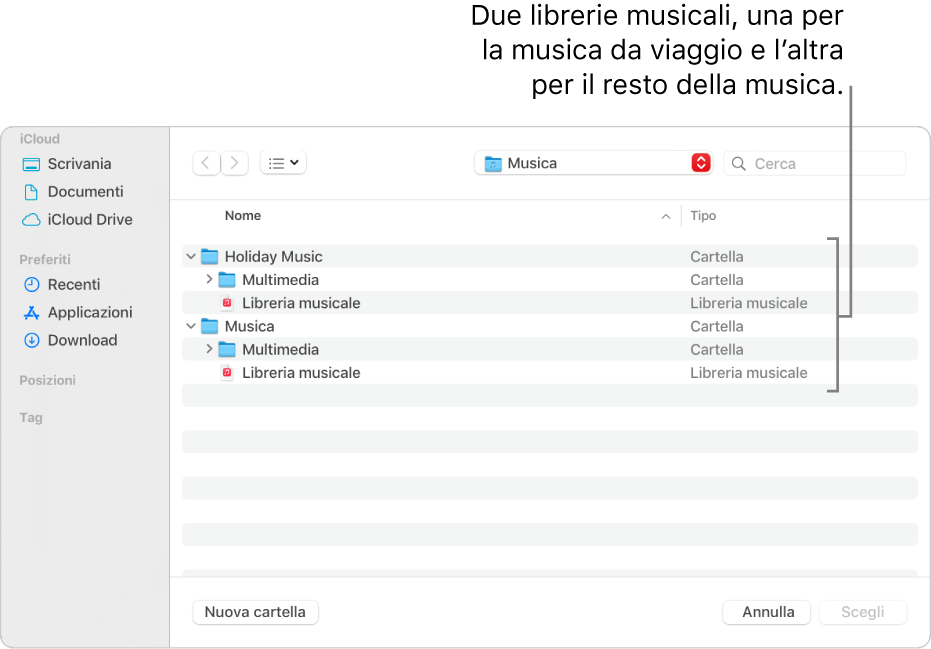 La finestra del Finder che mostra più librerie: una per la musica da viaggio e le altre per il resto della musica.