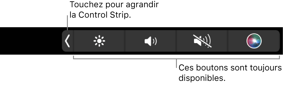 Un écran partiel de la Touch Bar par défaut, affichant la Control Strip réduite. Touchez le bouton de développement pour afficher toute la <NoBreak change_bar="mark">Control Strip</NoBreak>.