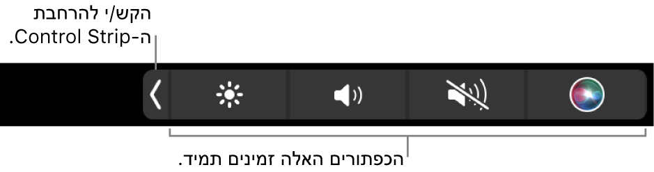 קטע מהמסך של ה‑Touch Bar המוגדר כברירת-מחדל, מציג את ה‑Control Strip בפריסה מכווצת. הקש/י על כפתור ההרחבה כדי להציג את ה‑Control Strip בפריסה המלאה.