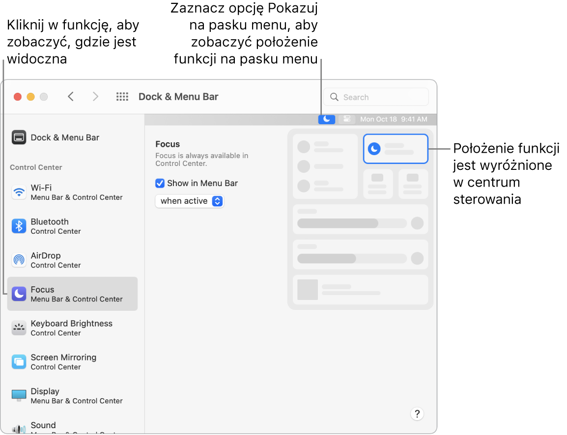 Okno preferencji Docka i paska menu.