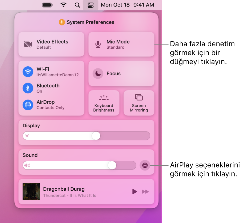 Mac’inizdeki Denetim Merkezi’nin Ekran düğmesine bir belirtme çizgisiyle büyütülmüş görüntüsü.