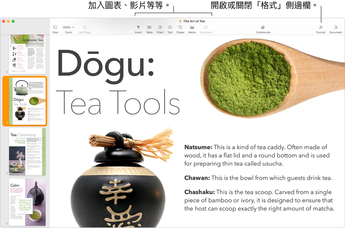 Pages 視窗顯示左側側邊欄中打開的頁面縮覽圖、最上方的工具列和編輯工具,「合作」按鈕(靠近右側最上方)以及「格式」和「文件」按鈕(位於右側)。