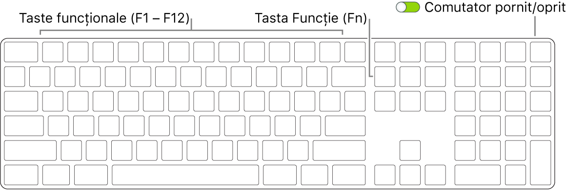 Magic Keyboard prezentând tasta Funcție (Fn) din colțul din stânga jos și comutatorul de pornire/oprire din colțul din dreapta sus a tastaturii.