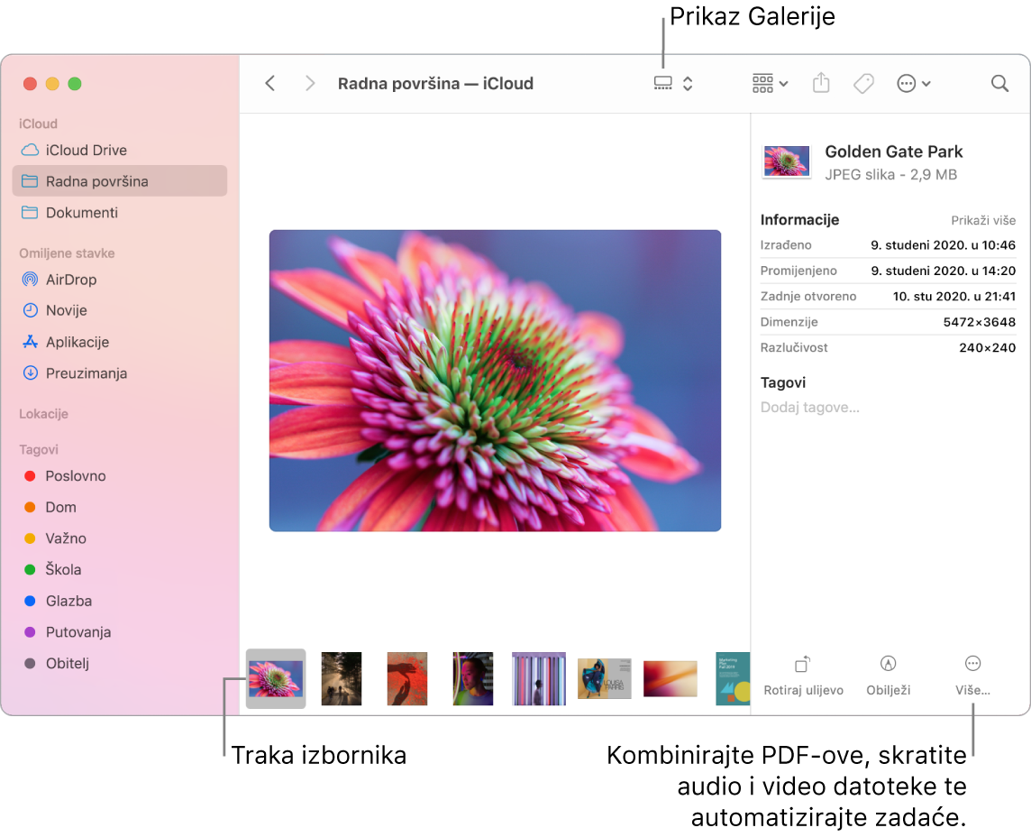 Otvoreni prozor Findera u Prikazu galerije, a ispod je prikaz velike fotografije s retkom manjih fotografija - traka reprodukcije. Kontrole za rotiranje, obilježavanje i ostalo nalaze se s desne strane trake reprodukcije.