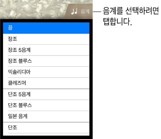 베이스 음계 버튼 및 음계 목록