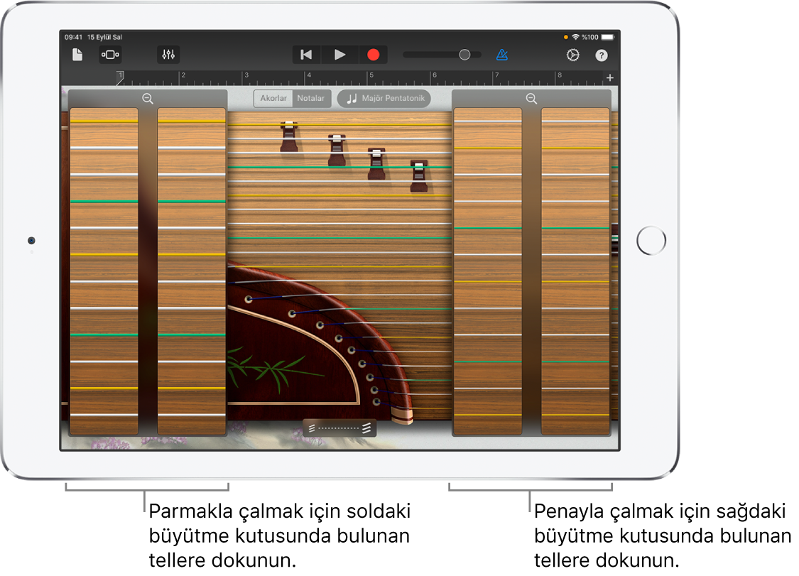 Guzheng büyütme/küçültme kutuları