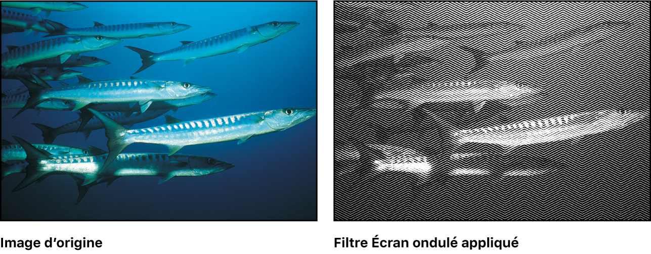 Canevas affichant l’effet du filtre Écran ondulé