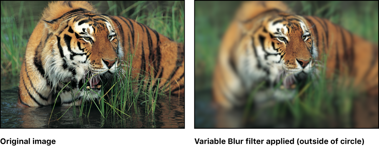 「ブラー(可変)」フィルタの効果を示すキャンバス