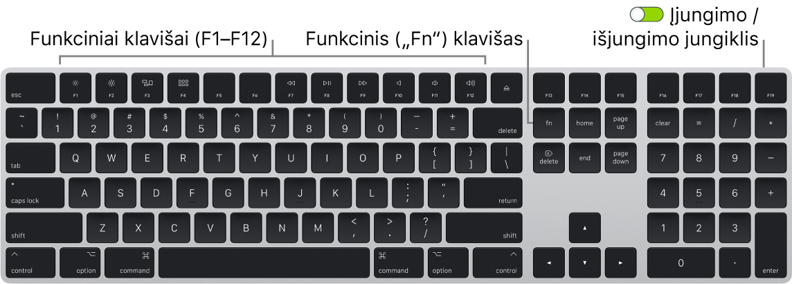 „Magic Keyboard“, apatiniame kairiajame klaviatūros kampe matosi klavišas „Function“ („Fn“), o viršutiniame dešiniajame kampe – įjungimo / išjungimo perjungiklis.